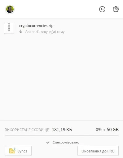 Вигляд запущеного додатка Mega